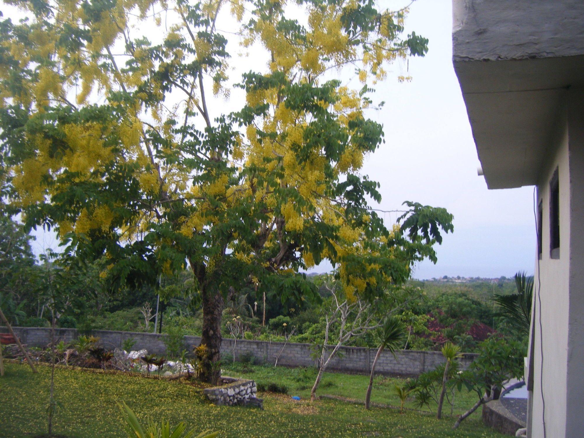 3D Homestay Pecatu  Bagian luar foto